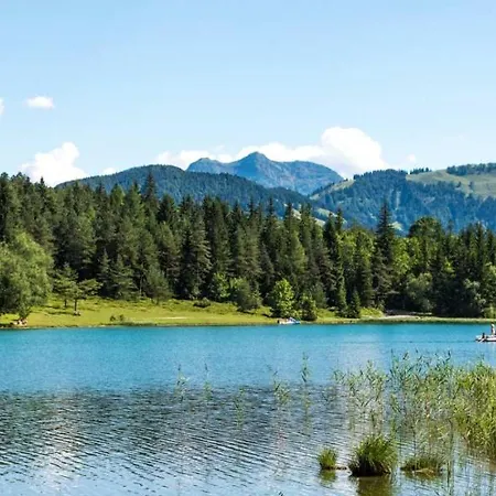 酒店 索内酒店 3*